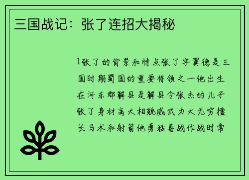 三国战记：张了连招大揭秘