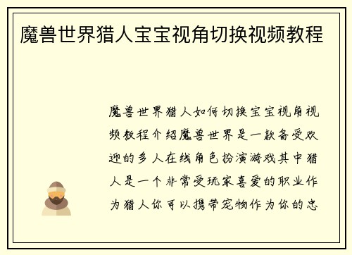 魔兽世界猎人宝宝视角切换视频教程